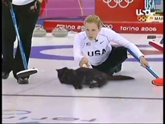 Cat-Curling.mp4_000018618