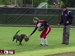 Dog-Steals-Show-at-WOU-Soft