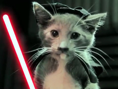 Jedi-Kittens-Strike-Back---