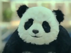 Never-say-no-to-Panda!---Yo