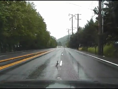 DASH-CAM-VIDEO--Police-Purs