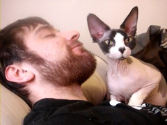 hairless-cat-likes-beard---