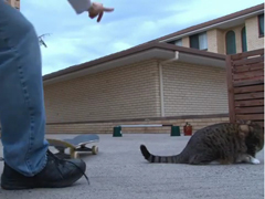 _-Skateboard-jump-FAIL-with