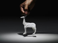Tissue-Animals---YouTube