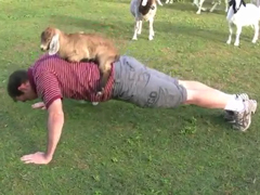 _-Baby-Goat-Push-ups---YouT