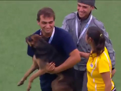 Four-Legged-Friend---Hockey