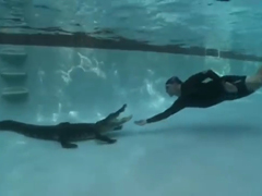 _-Gator-Boys-Gator-in-Swimm