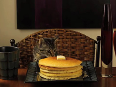 Wendy-Eats-Pancakes!---YouT