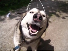 Silver-and-head-massager