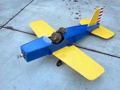 Squirrel-Steals-Airplane---