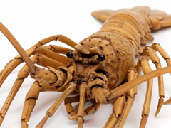 Wood-spiny-lobster