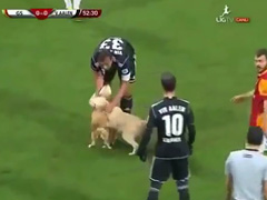 Puppies-Interrupt-Turkish-S