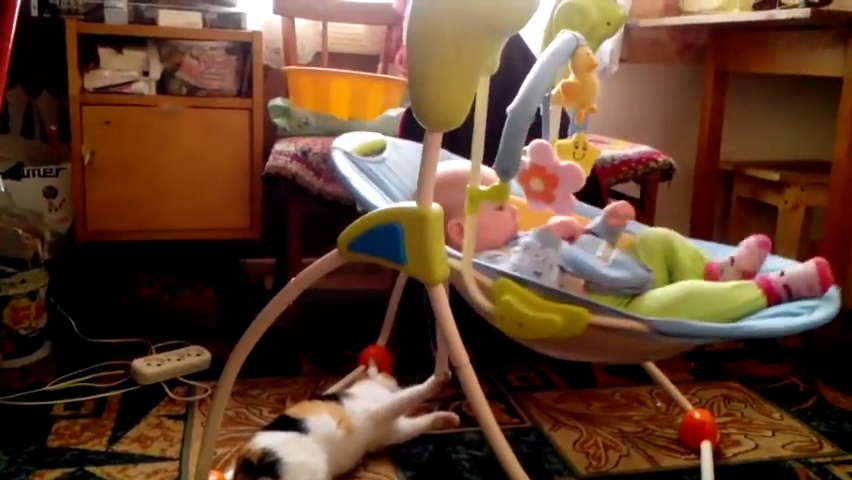 Playful Cat Rocks Baby to Sleep.mp4_000006000